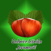 sadnice lesnika
